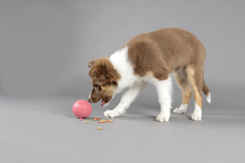 Rubber snackbal voor puppy's en volwassen honden of katten - per stuk