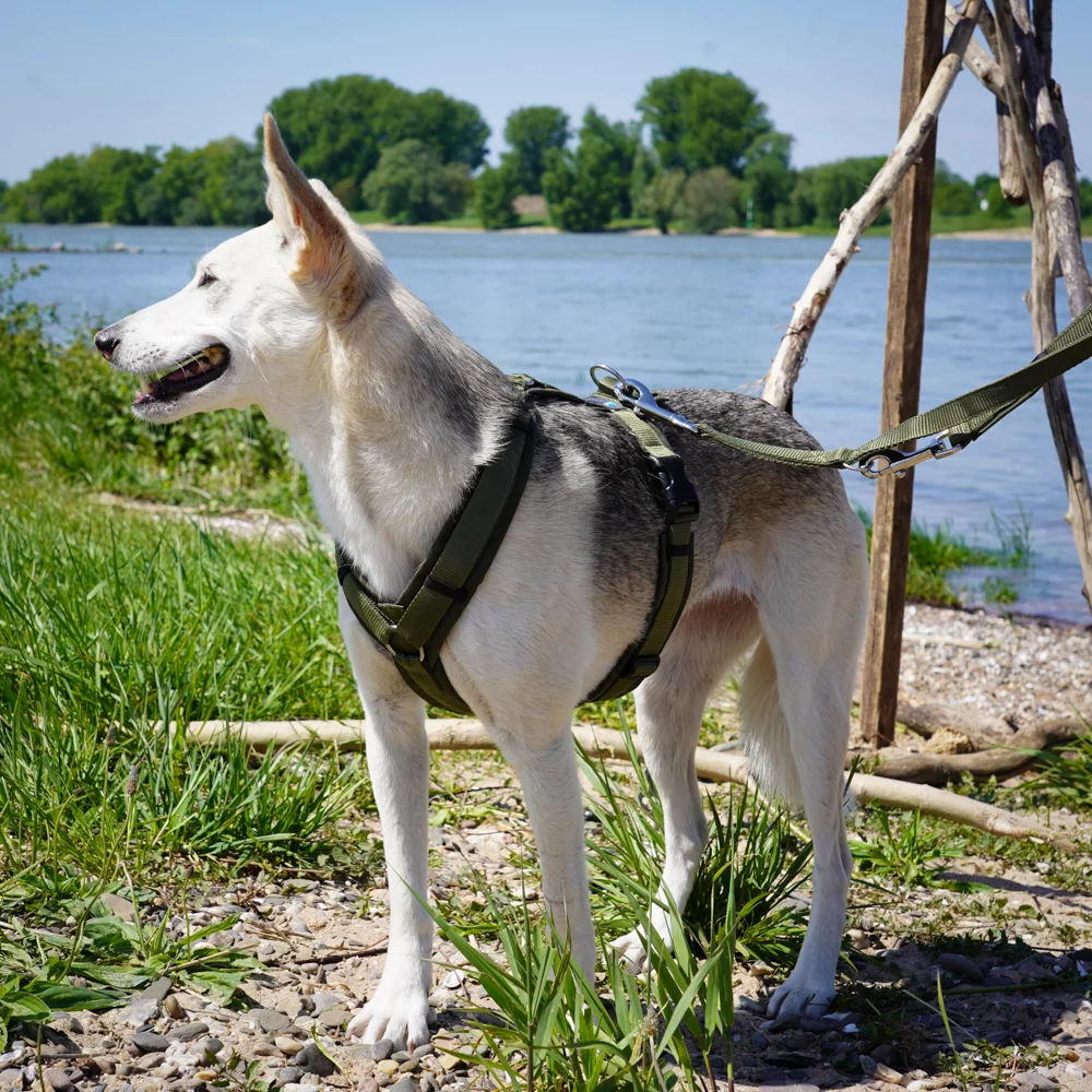 Anny-X Fun Harness Olive