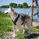 Anny-X Fun Harness Olive