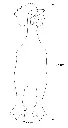 524675_T_01.webp