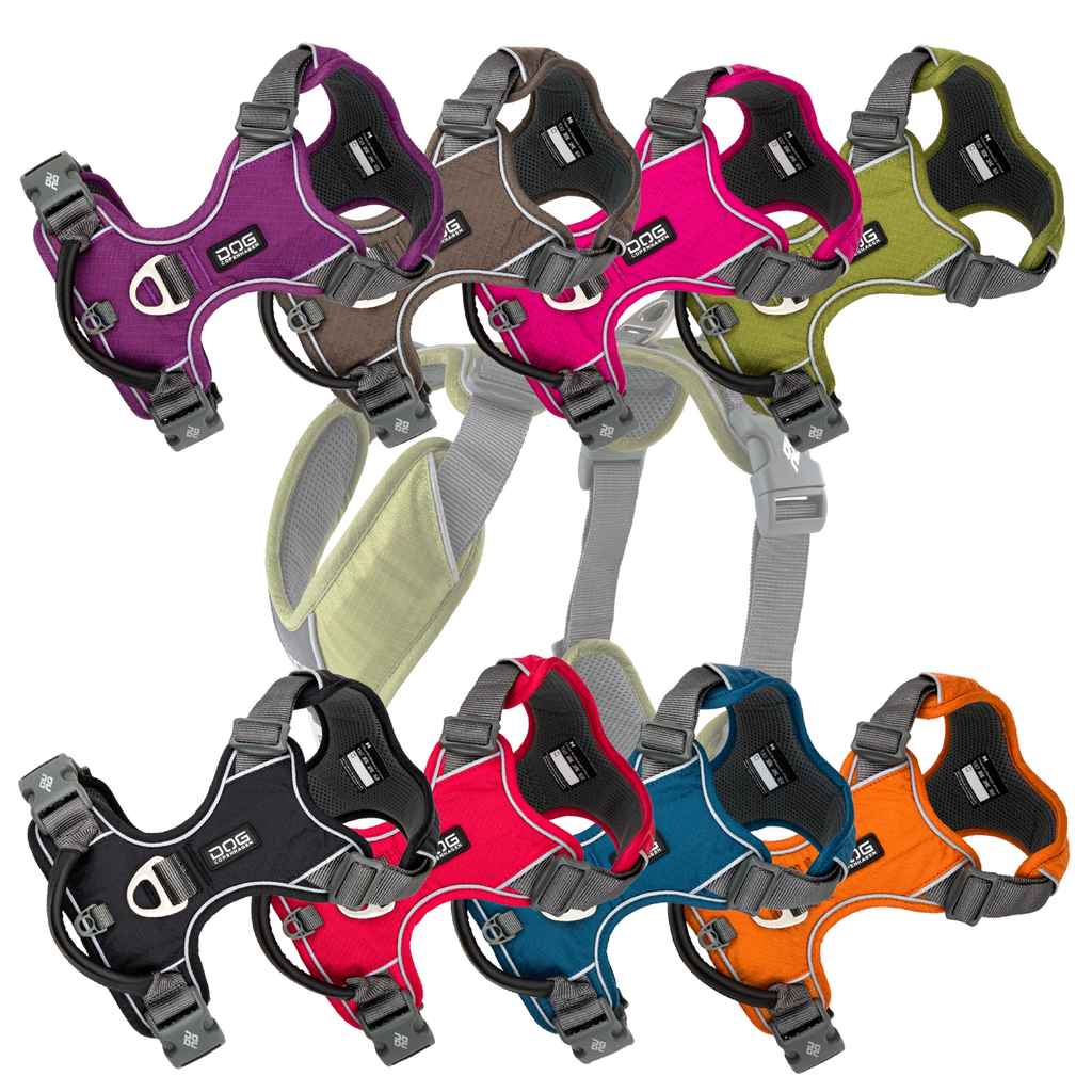 [HAR0017] Dog Copenhagen Comfort Walk Pro harnas M (Zwart)