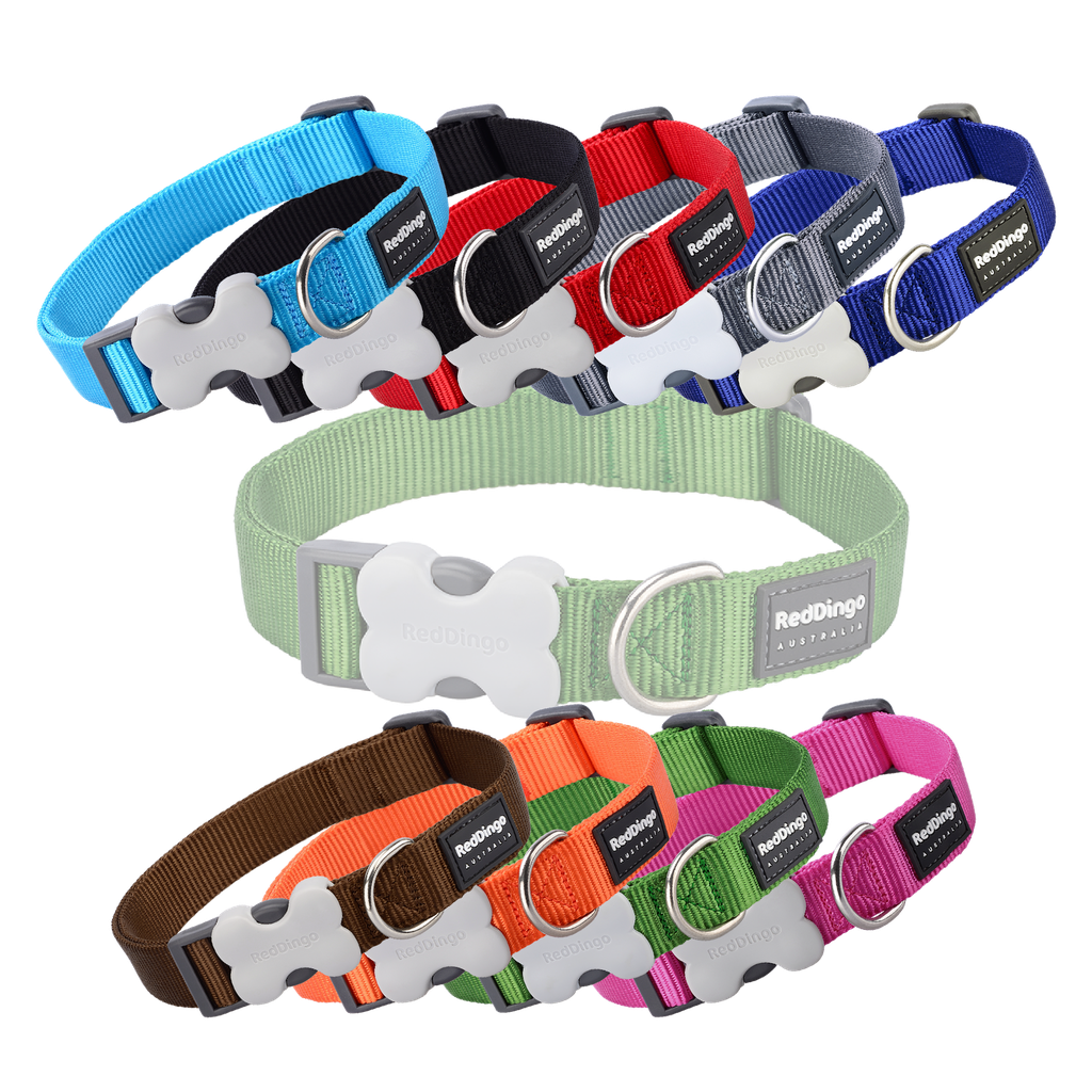 Reddingo Buckle bone halsband Paw print - M