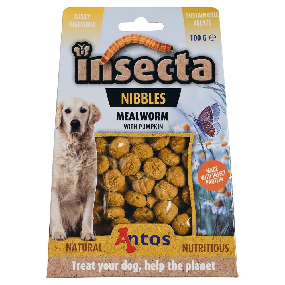 [ANT20090] Insecta Nibbles Meelworm