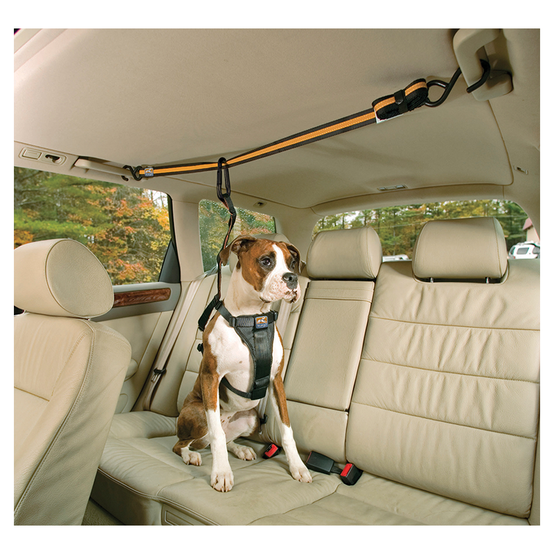 KURGO Autoziplijn met veiligheidsriem Zwart/Oranje-101-180cm/33-56cm