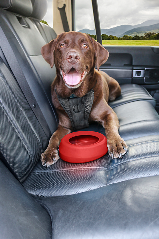 KURGO Spatvrije Waterbak Rood-710ml Ø18,5cmx7cm