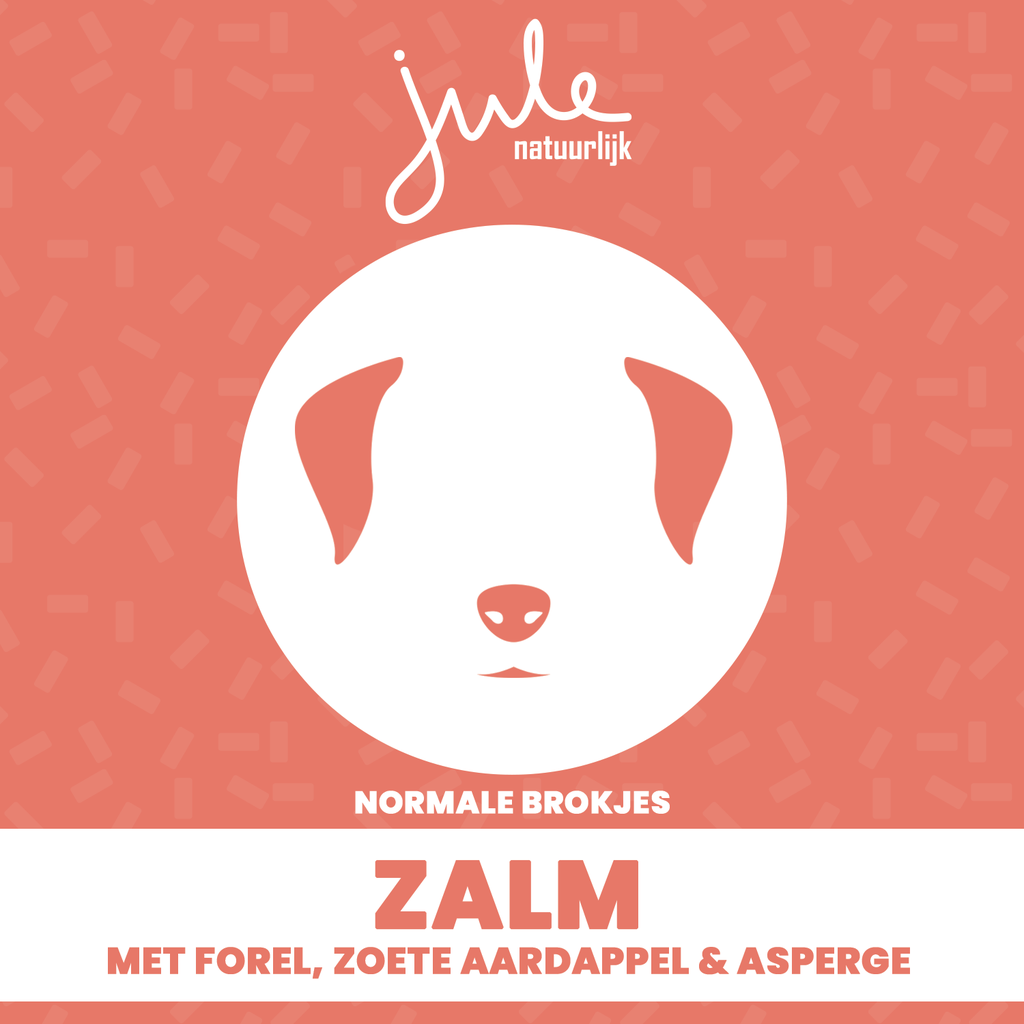 Jule Zalm & Forel graanvrij 2kg