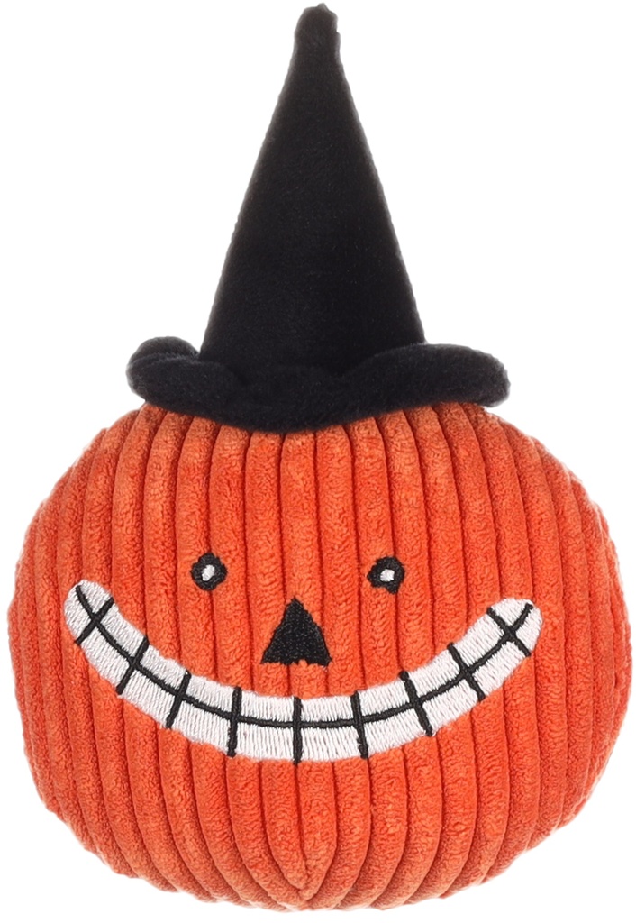 Halloween Pumpa Pompoen