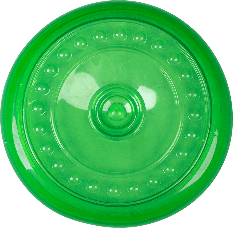 [AB50607] TPR Toy Frisbee Ø23,5cm