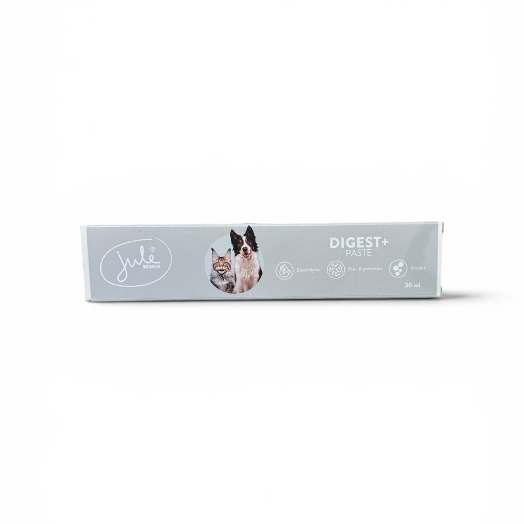 Jule DIGESTIVE Balance pasta - 30ml tube