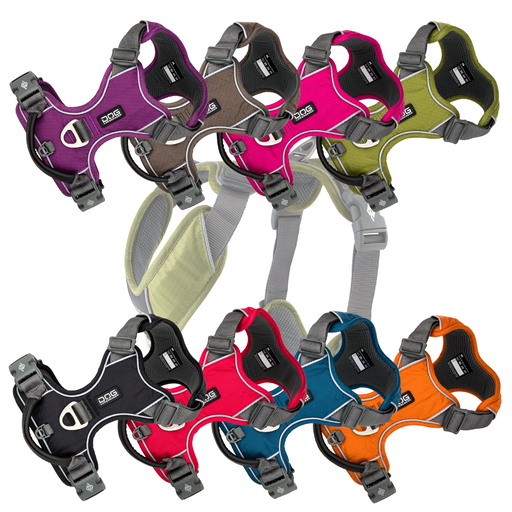 Dog Copenhagen Comfort Walk Pro harnas XS