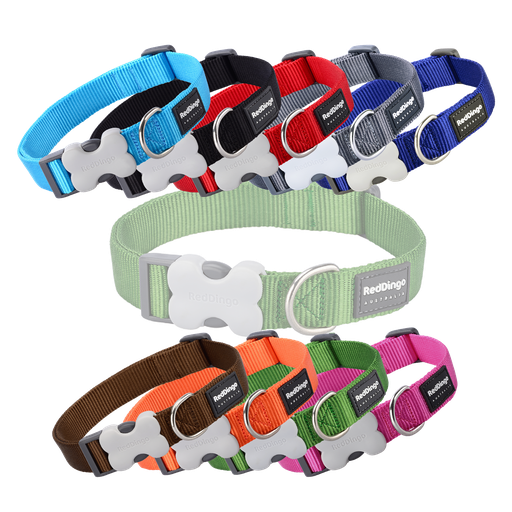 Reddingo Buckle bone halsband - XS