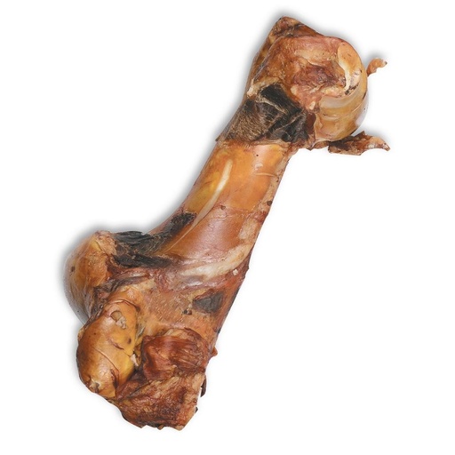 [JU-RU-BOT-1] Jule Luchtgedroogd Dinobot