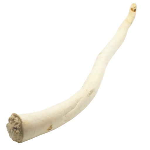 [JU-RU-STAART] Jule Runderstaart +/- 40cm