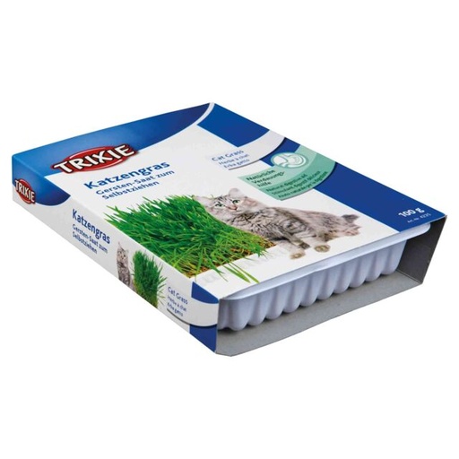 [TRX4235] Kattengras zelfkweek met potje