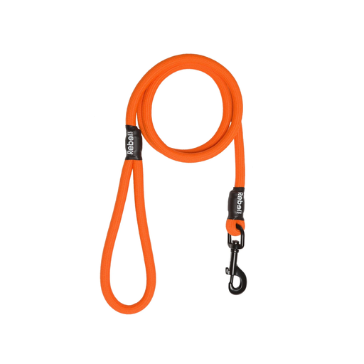Rebel Petz Basic Leash - L