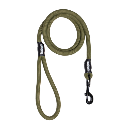 Rebel Petz Basic Leash - S