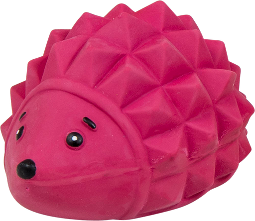 [AB50511] LATEX TOY Egel Roze-12cm